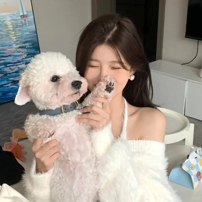 伤不起的女人